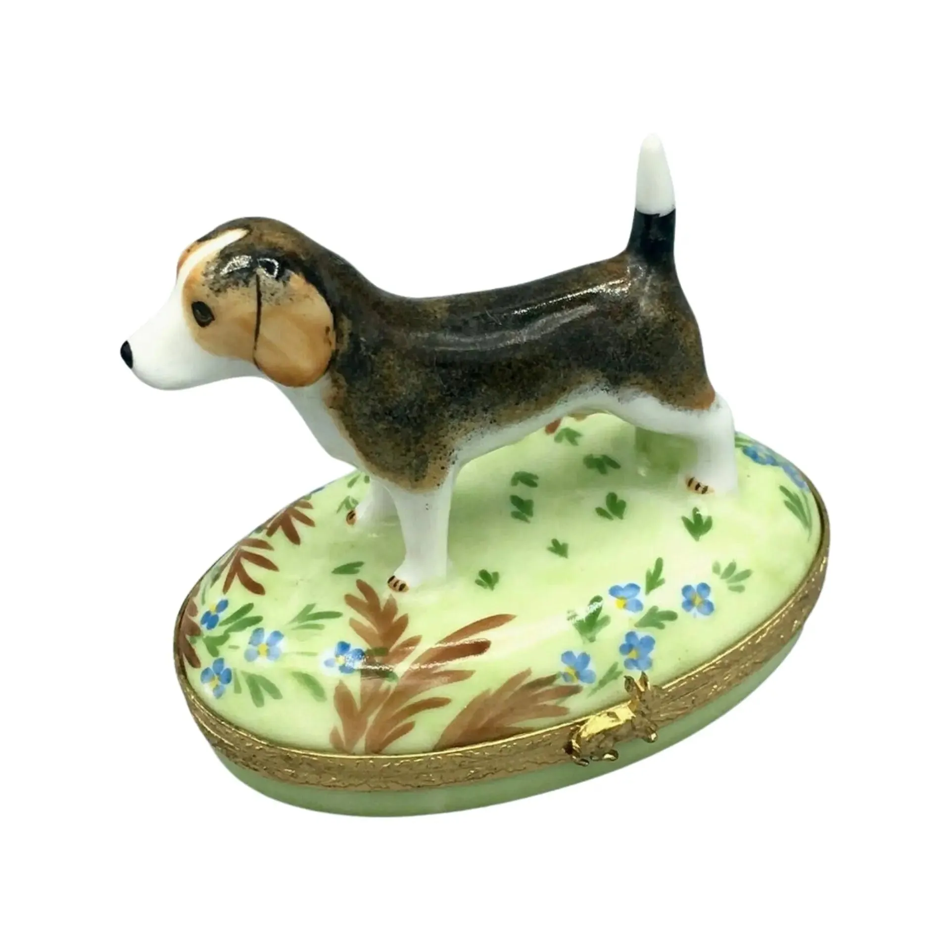 Beagle Dog
