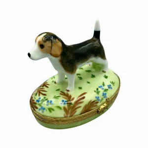 Beagle Dog