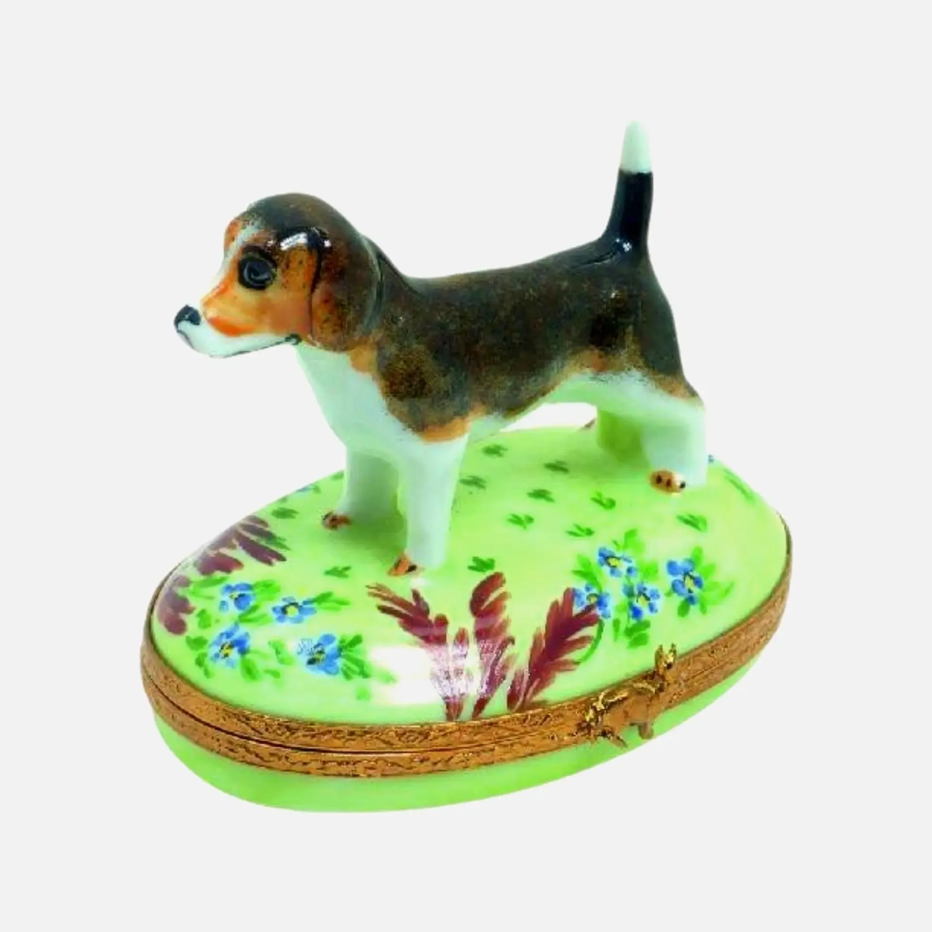 Beagle Dog