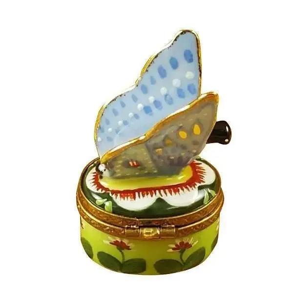 Butterfly Blue-Gold