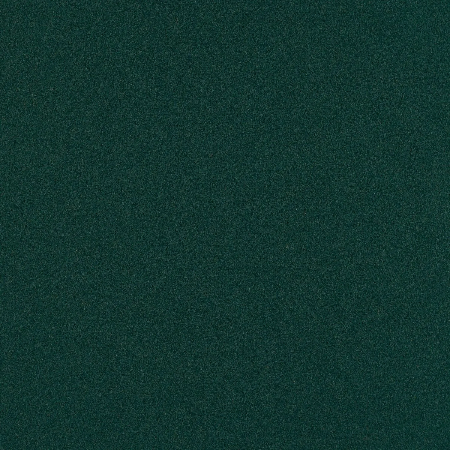 Construct - Fir - 4079 - 18 - Half Yard
