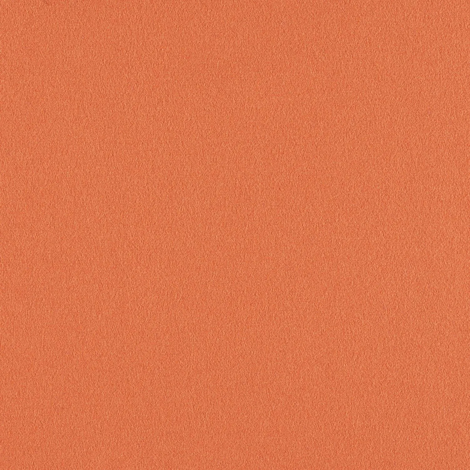 Construct - Zinnia - 4079 - 06