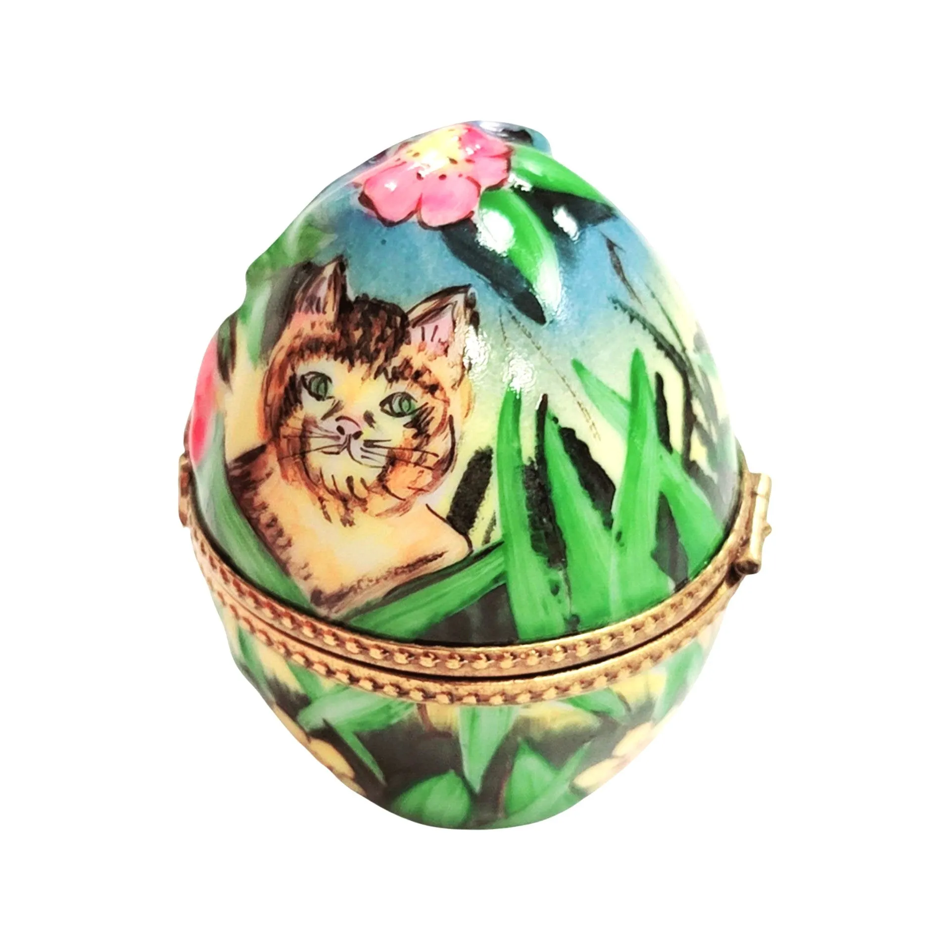 Egg Butterfly Cat in Grass
