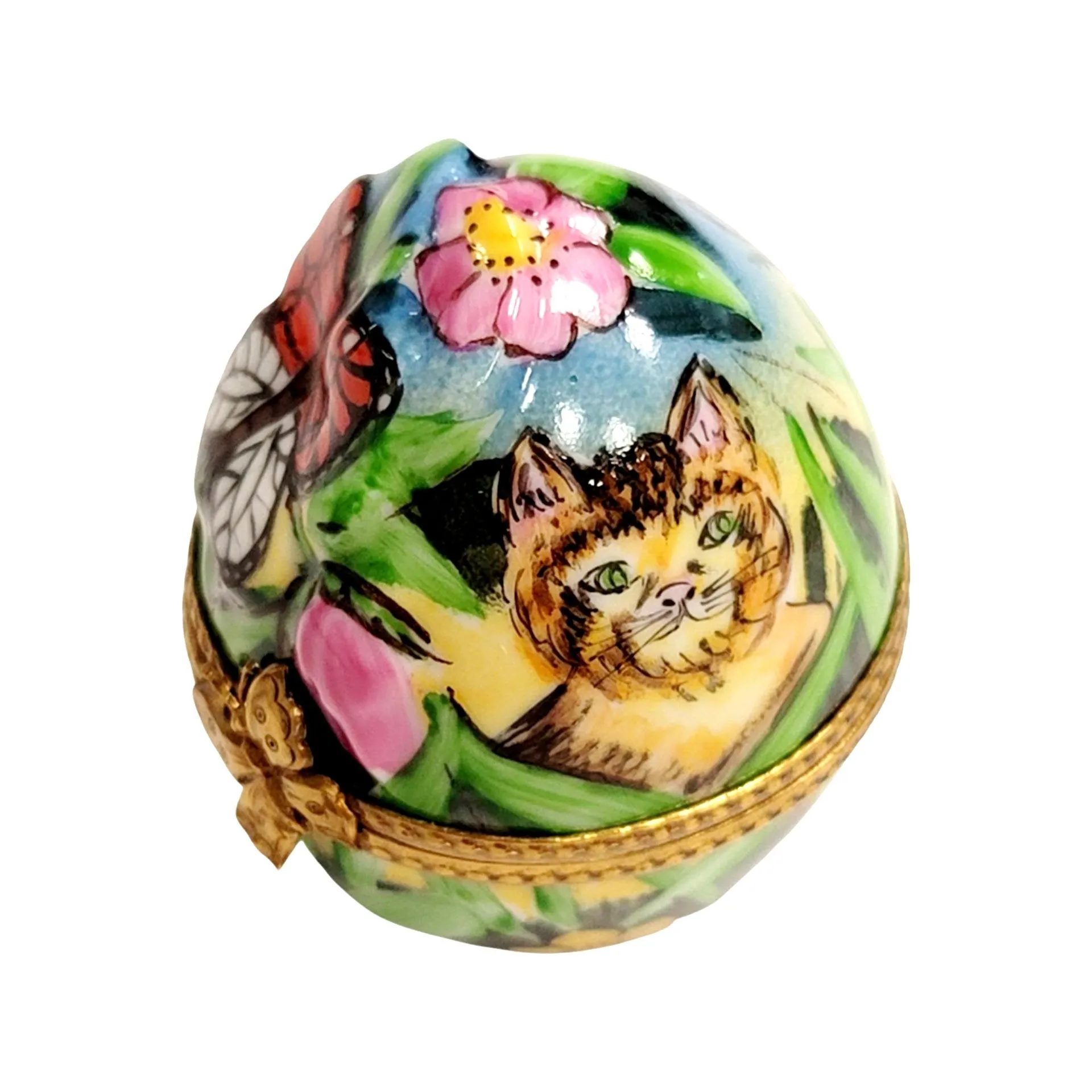 Egg Butterfly Cat in Grass
