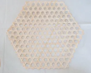 Hexagon Wall Art
