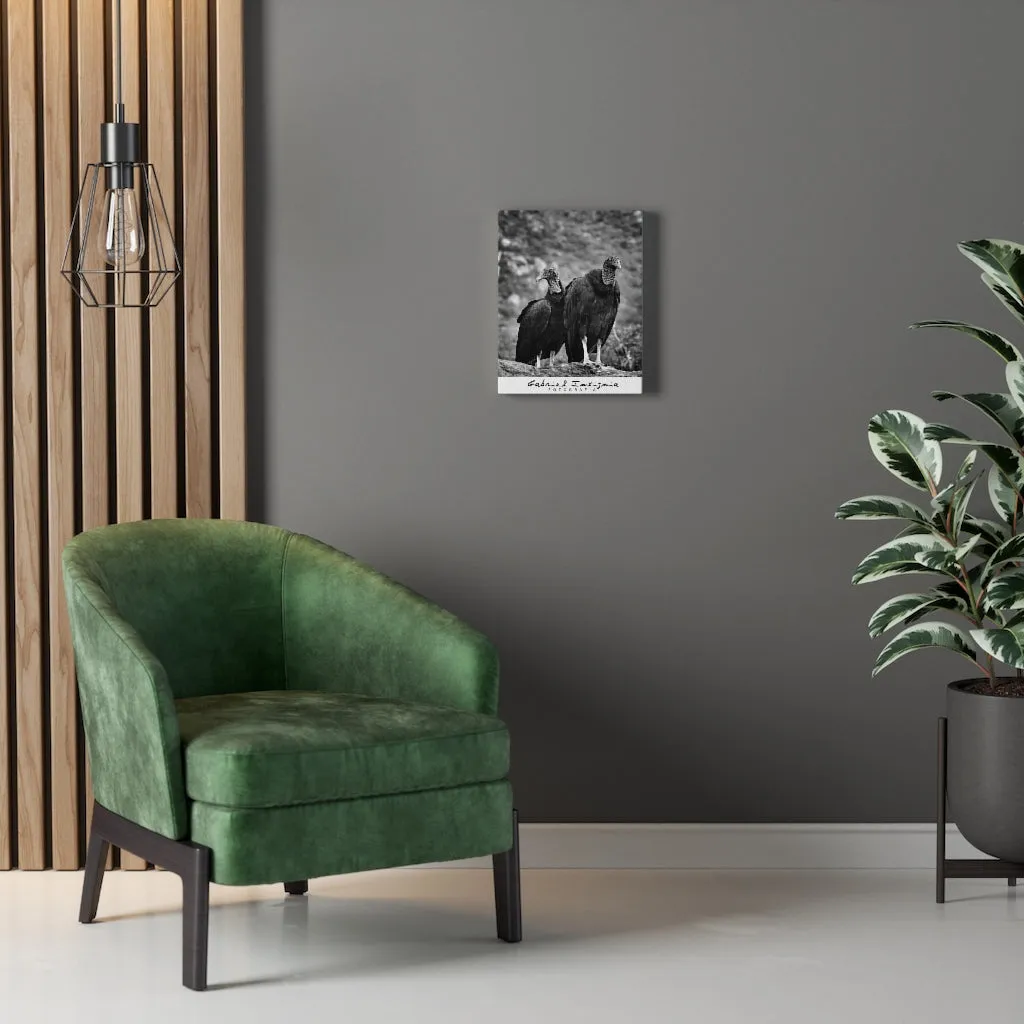 Jotes Stretched Canvas by Insignia