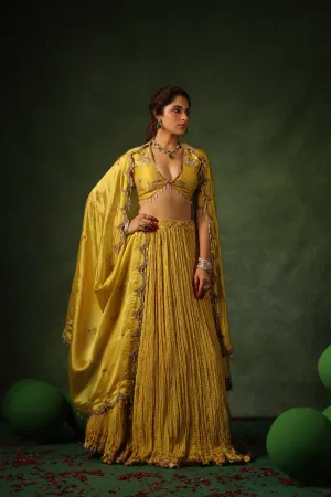 Pakeezah Zardosi Buta Lehenga Sunehra
