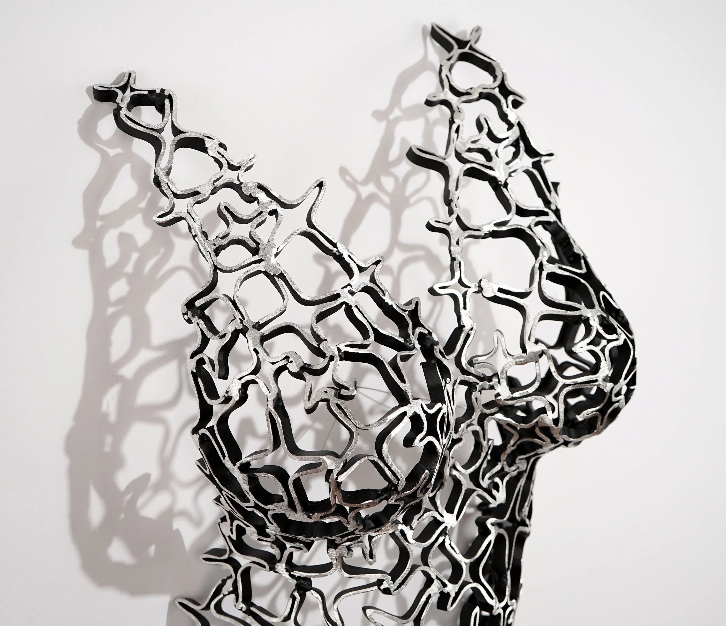 "Iza, Lace Whisperer" Modern Metal Wall Art