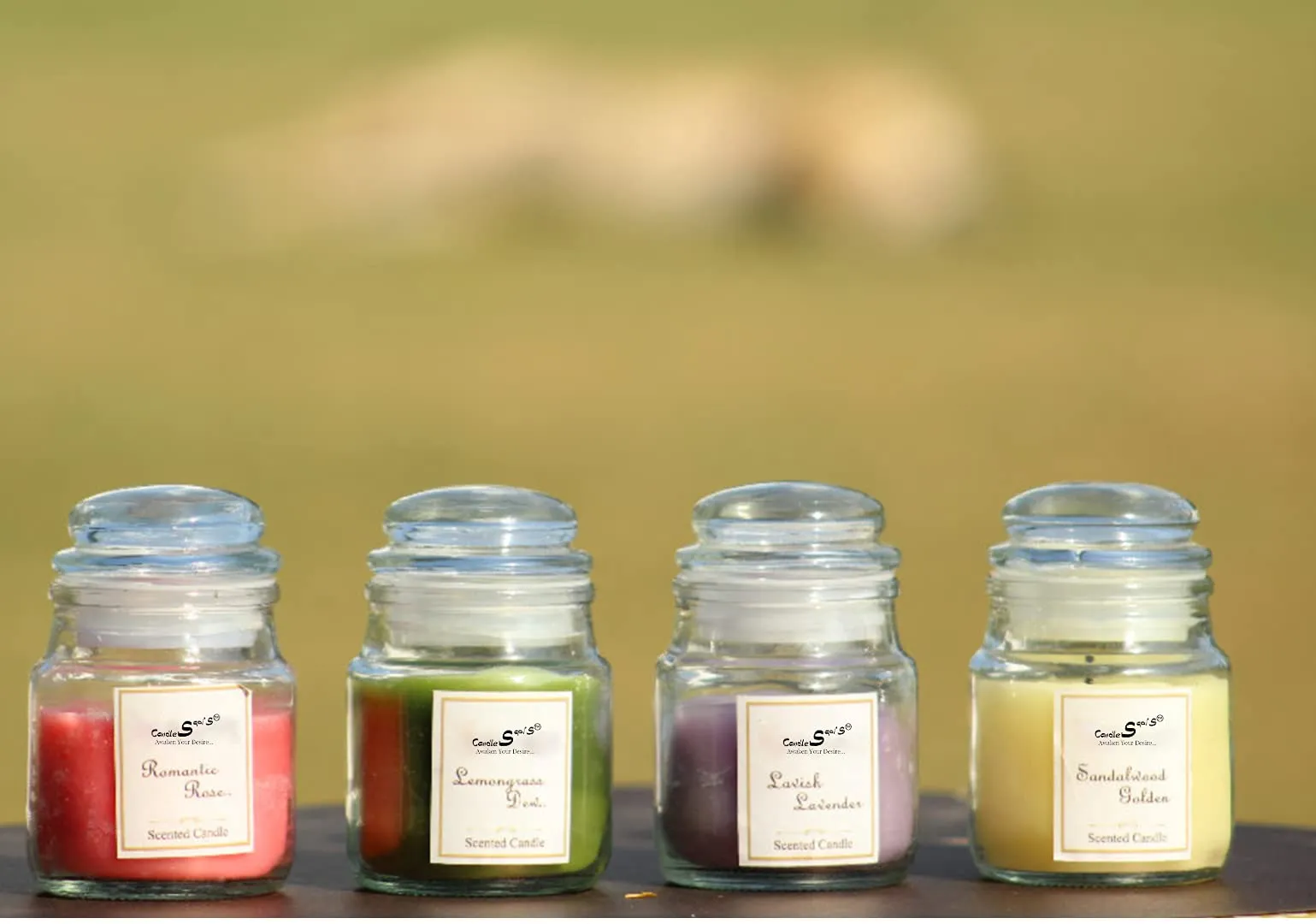 Sapi'S 120G Scented Aroma Jar Candles, Pack 6,Jasmine Lemon Rose Lavender Vanilla & Sandal for Home Decoration/Diwali/Birthday/Valentines Day/New Year/Christmas/Bedroom/Indoor/Outdoor/Scented | 25 Hrs
