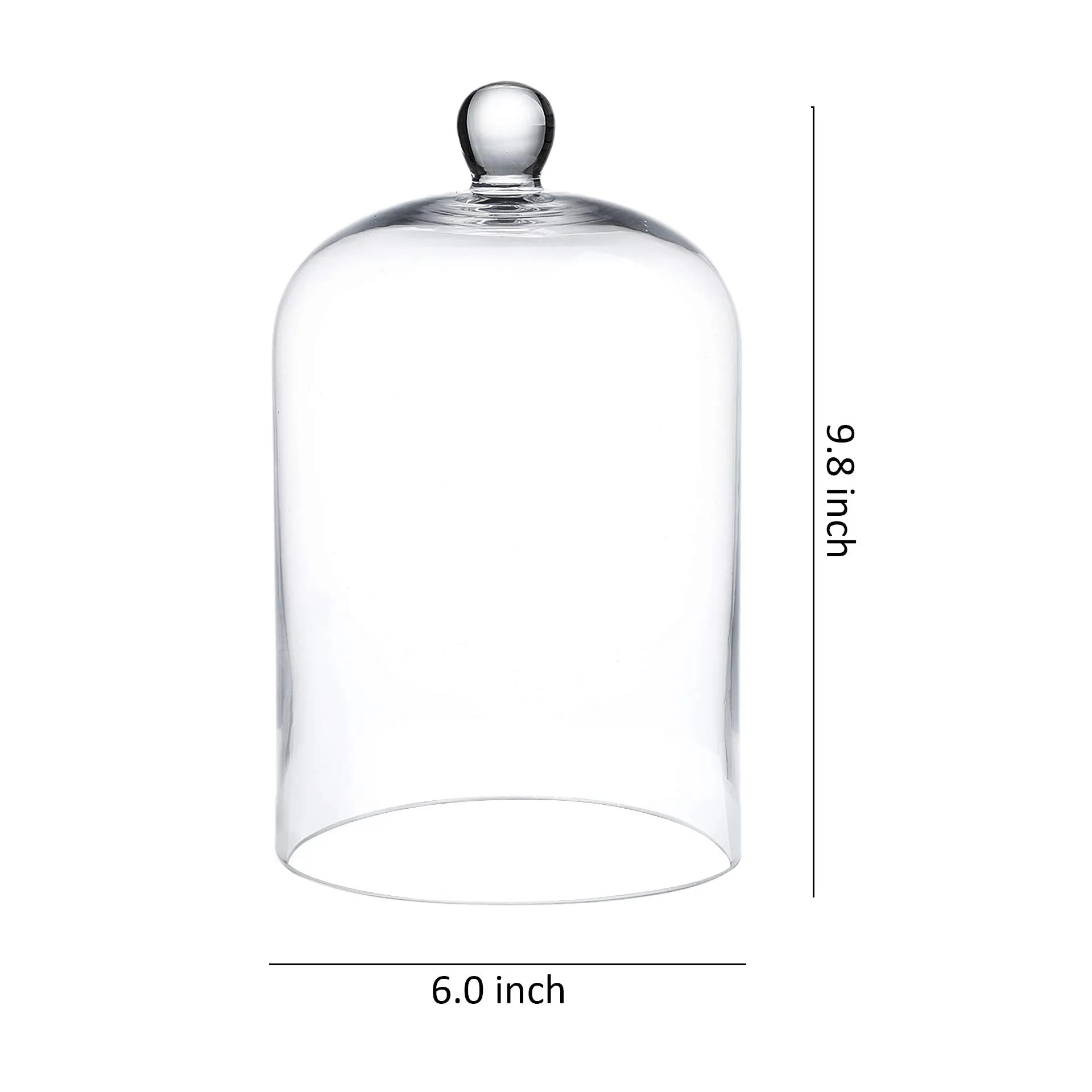 Whole Housewares 6"x10" Clear Glass Dome - Bell Jar -Glass Cloche - to Cover Plants